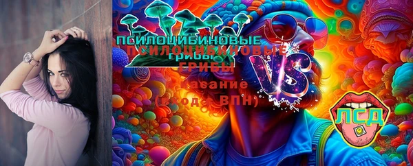 прущие крисы Армянск