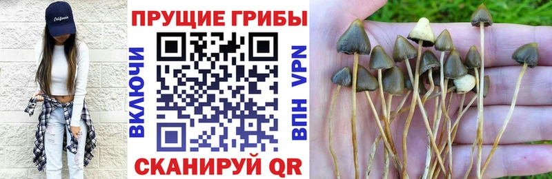 Галлюциногенные грибы GOLDEN TEACHER  OMG зеркало  Усть-Катав 